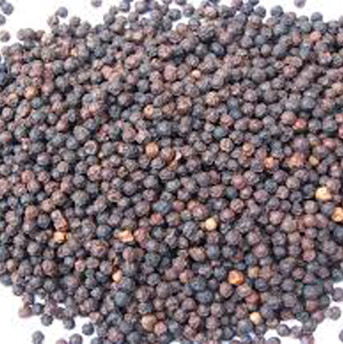 VIETNAM BLACK PEPPER 300 GPL