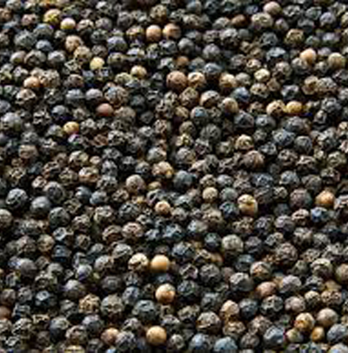 VIETNAM BLACK PEPPER 400 GPL