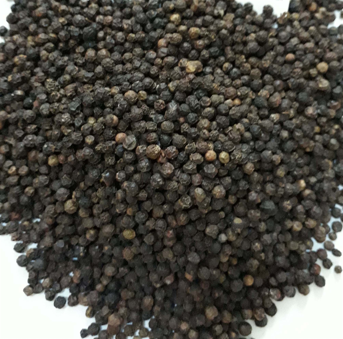 VIETNAM CLEANED BLACK PEPPER 500GPL