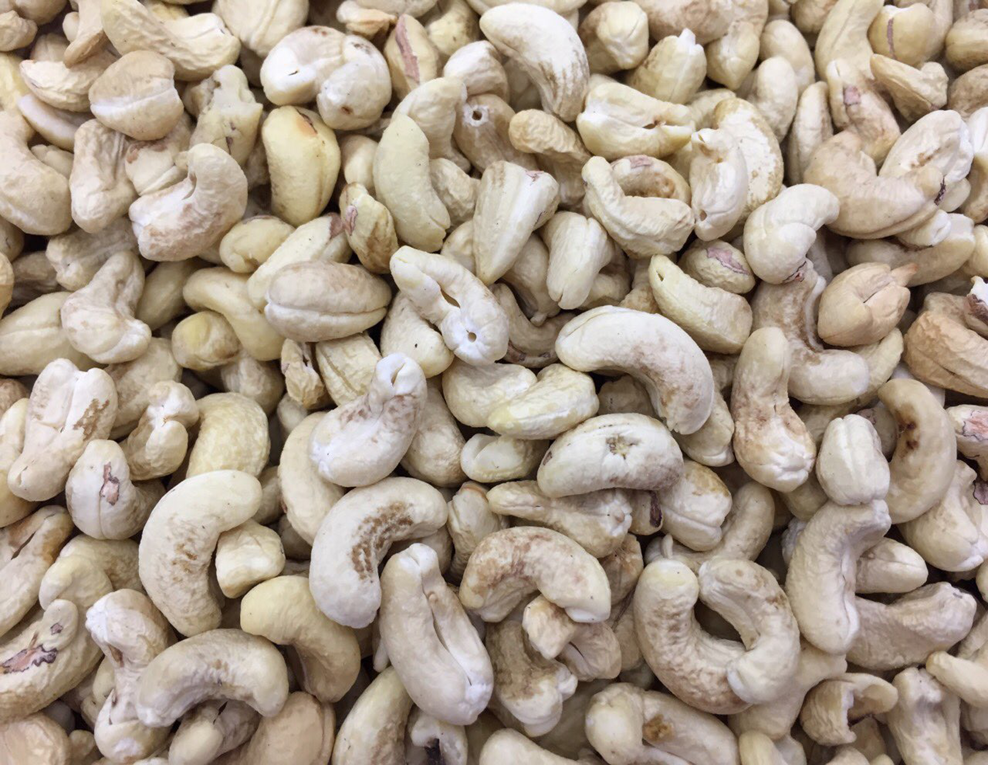 VIETNAMESE CASHEW NUT GRADE DW360