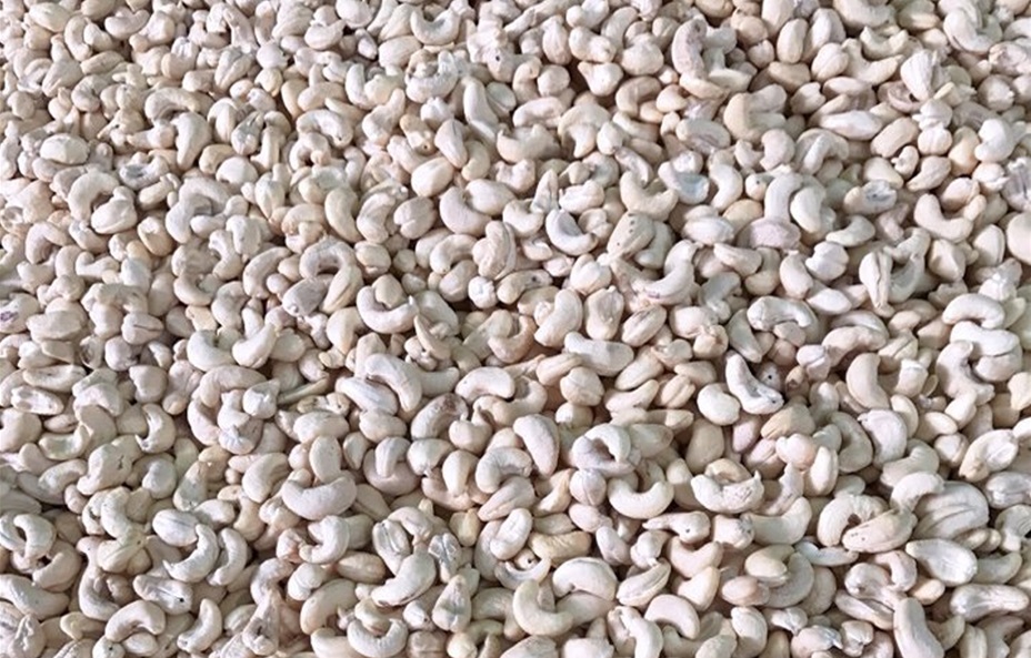 VIETNAMESE CASHEW NUTS WW320
