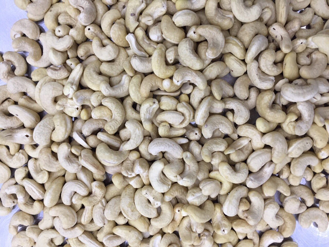 VIETNAMESE CASHEW NUT GRADE WW450	