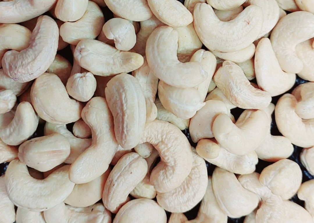 VIETNAMESE CASHEW NUT GRADE WW240