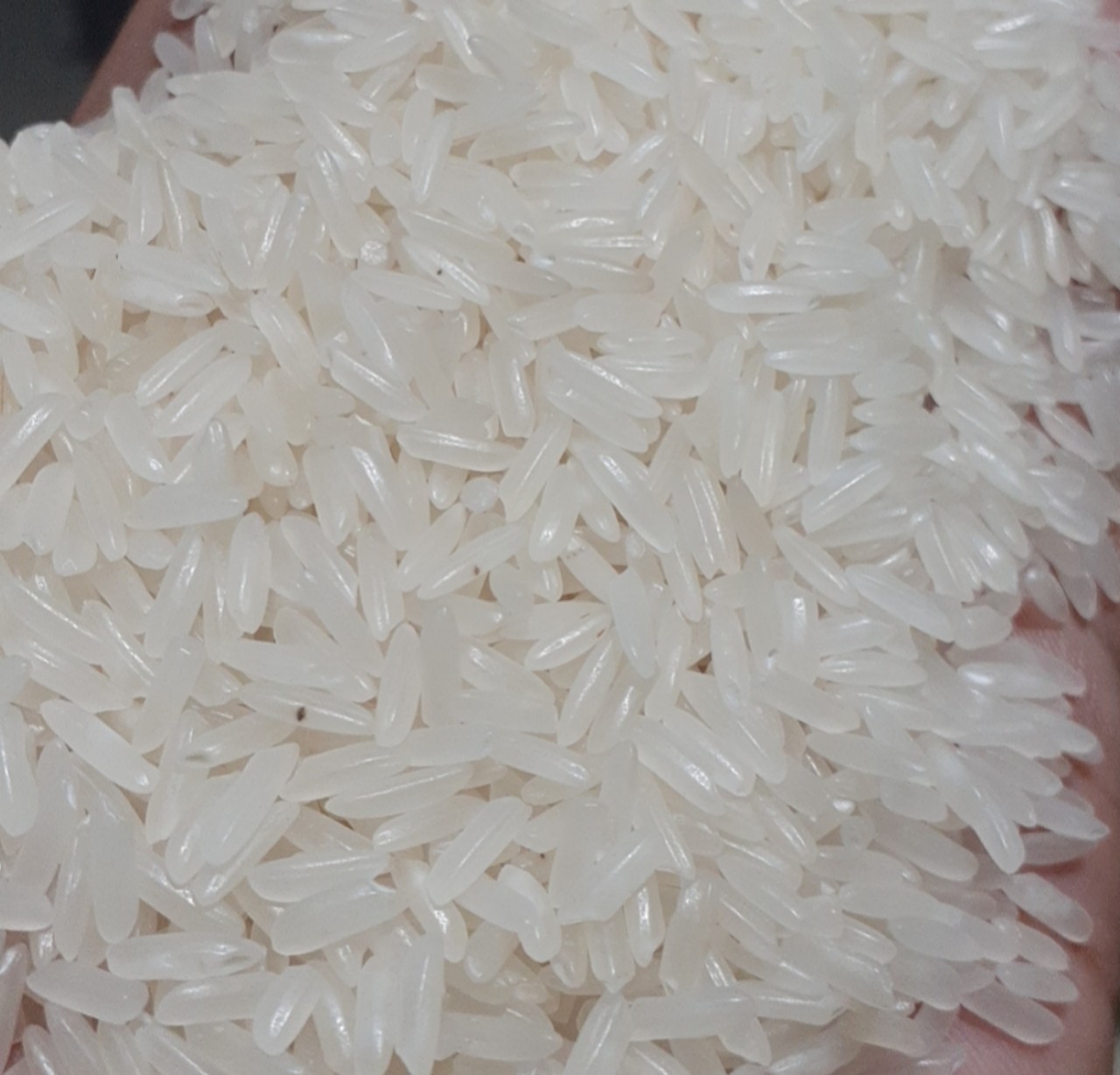 VIETNAM FRAGRANT RICE 5% BROKEN – GRADE DT8