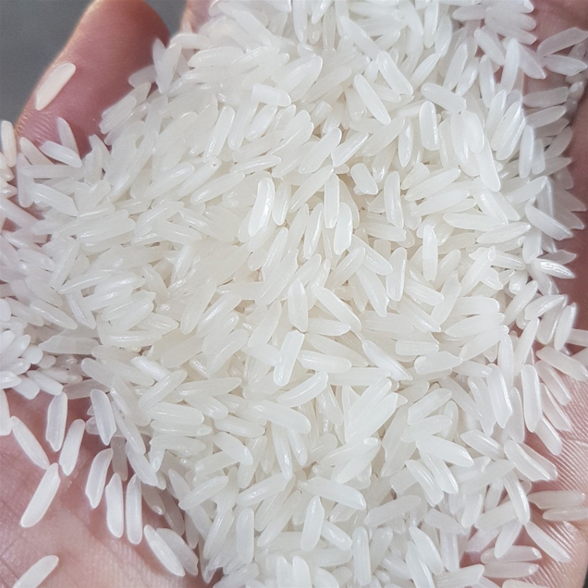 VIETNAM KDM FRAGRANT LONG GRAIN WHITE RICE 5% BROKEN – GRADE A