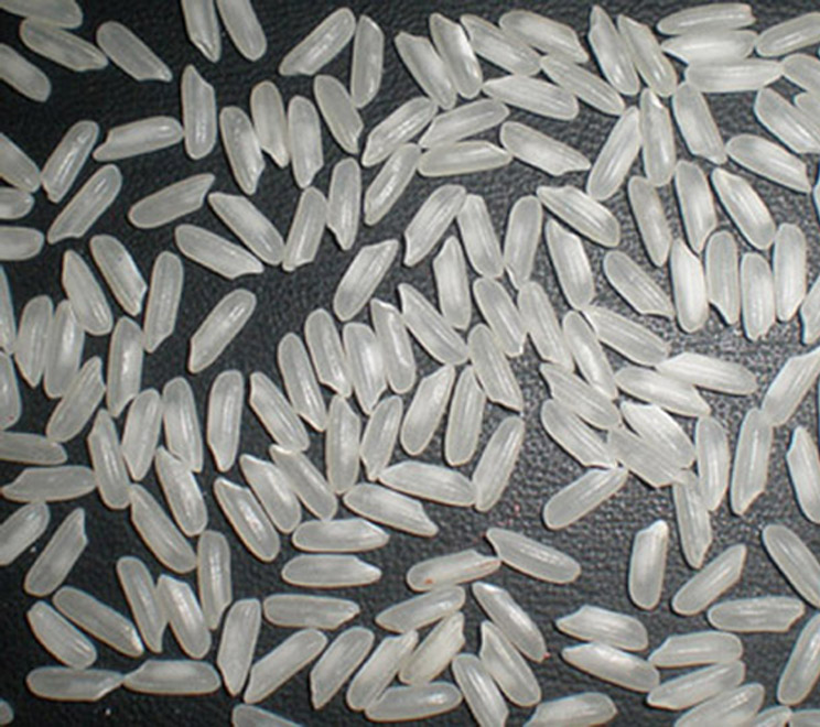 VIETNAM LONG GRAIN WHITE RICE 5% BROKEN