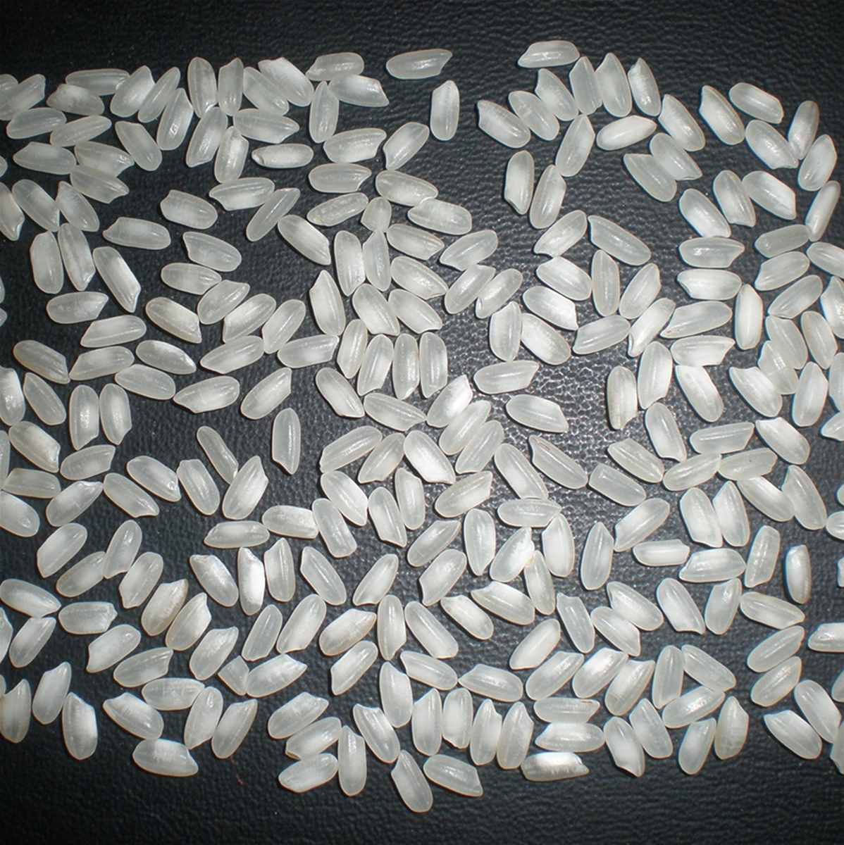 VIETNAM BINH THUAN T41 MEDIUM GRAIN RICE 5% BROKEN-GRADE A(CAMOLINO RICE-CALROSE RICE)