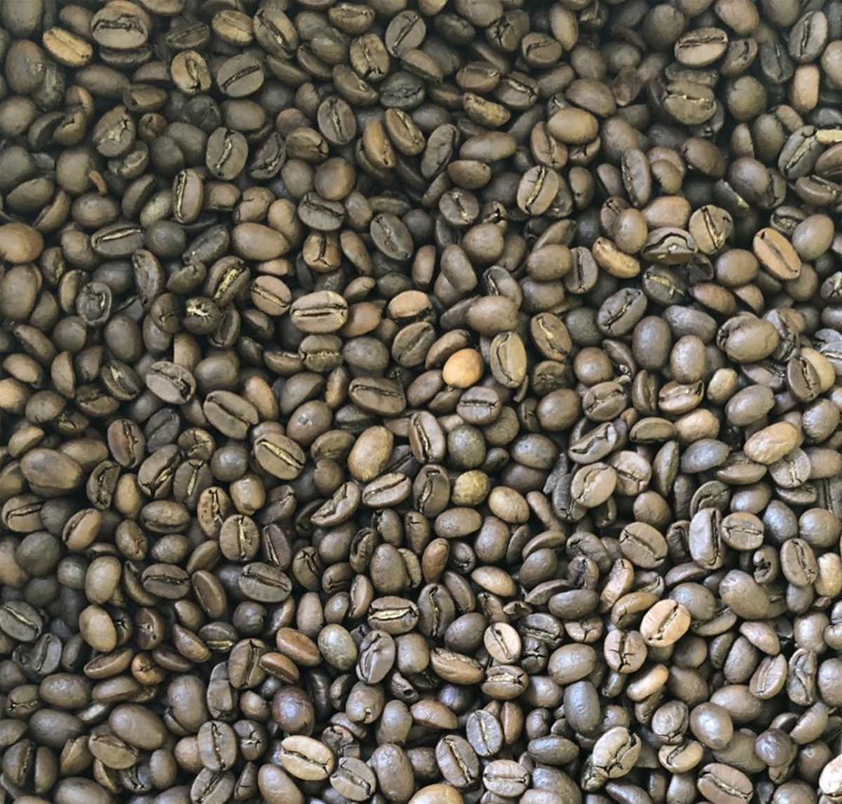 VIETNAM ROASTED COFFEE BEANS GRADE SPECIAL 4