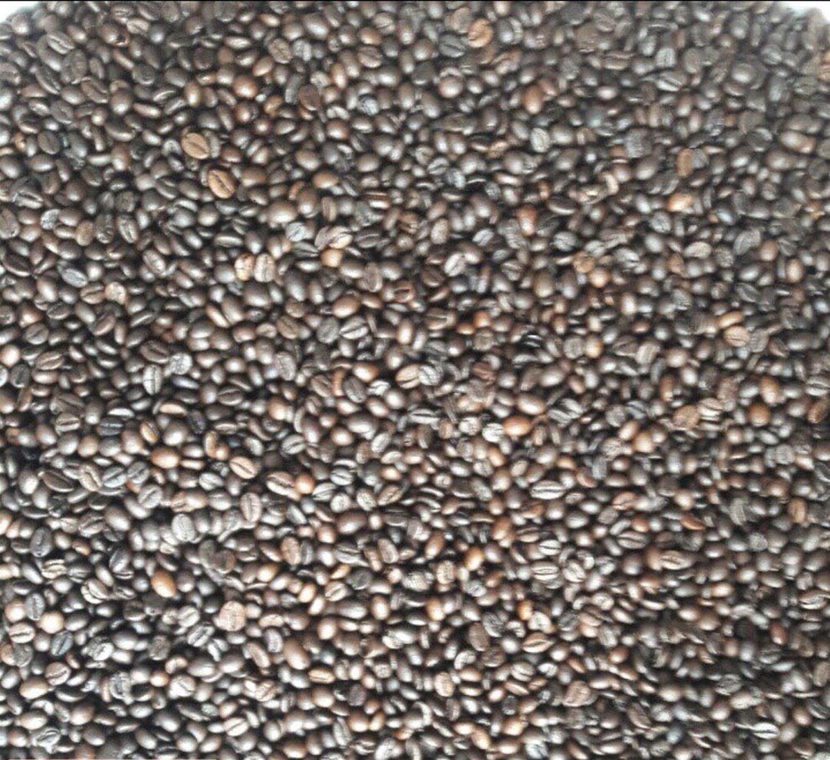 VIETNAM ROASTED ROBUSTA COFFEE BEANS GRADE CLASSIC