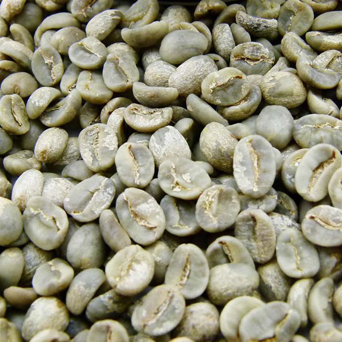 COFFEE BEANS