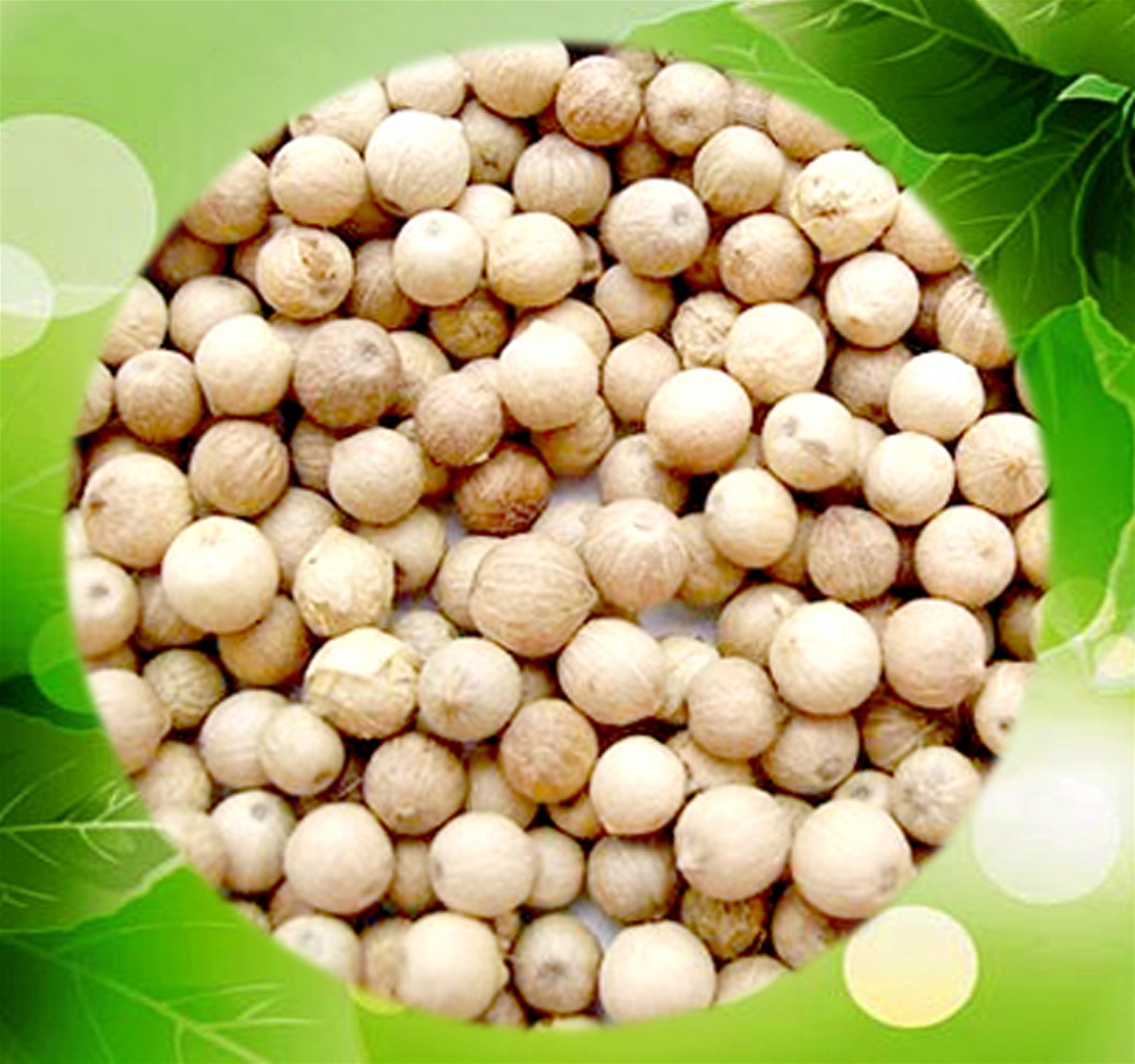 VIETNAM WHITE PEPPER 630GPL