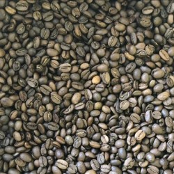 VIETNAM ROASTED COFFEE BEANS GRADE SPECIAL 3
