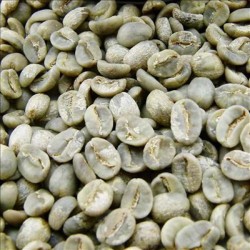 VIETNAM WASHED ARABICA GREEN COFFEE BEANS GRADE 1. SCR18