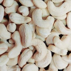 VIETNAMESE CASHEW NUT GRADE WW240