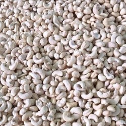 VIETNAMESE CASHEW NUTS WW320