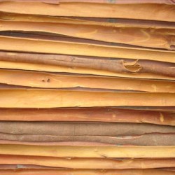 VIETNAMESE SPLIT CASSIA (CINNAMON)