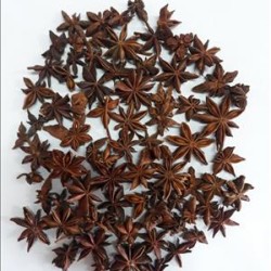 VIETNAM STAR ANISE WITH STEM AUTUMN CROP