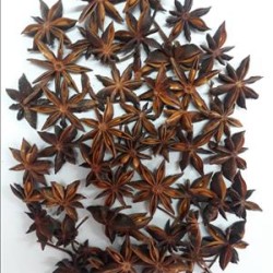 VIETNAM STAR ANISE WITH STEM SPRING CROP