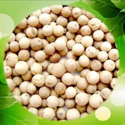 VIETNAM WHITE PEPPER 630GPL