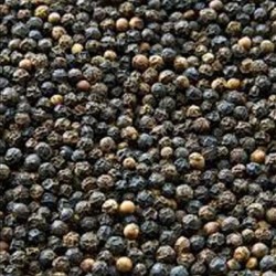 VIETNAM BLACK PEPPER 400 GPL