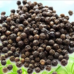VIETNAM BLACK PEPPER 450 GPL