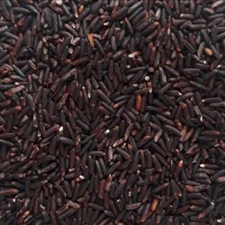VIETNAM ORGANIC BLACK RICE 5% BROKEN