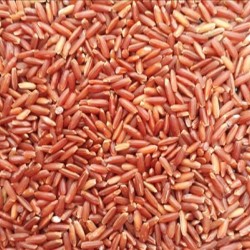 VIETNAM ORGANIC RED RICE 5% BROKEN