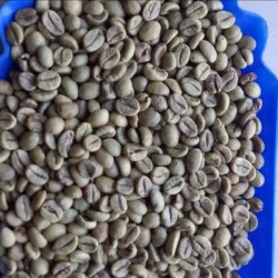 VIETNAM WET POLISHED ROBUSTA COFFEE BEANS GRADE 1. SCR#18