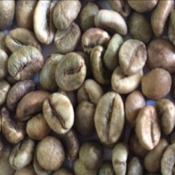 VIETNAM CLEAN ROBUSTA COFFEE BEANS GRADE 1. SCR18