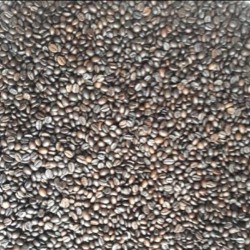 VIETNAM ROASTED ROBUSTA COFFEE BEANS GRADE CLASSIC